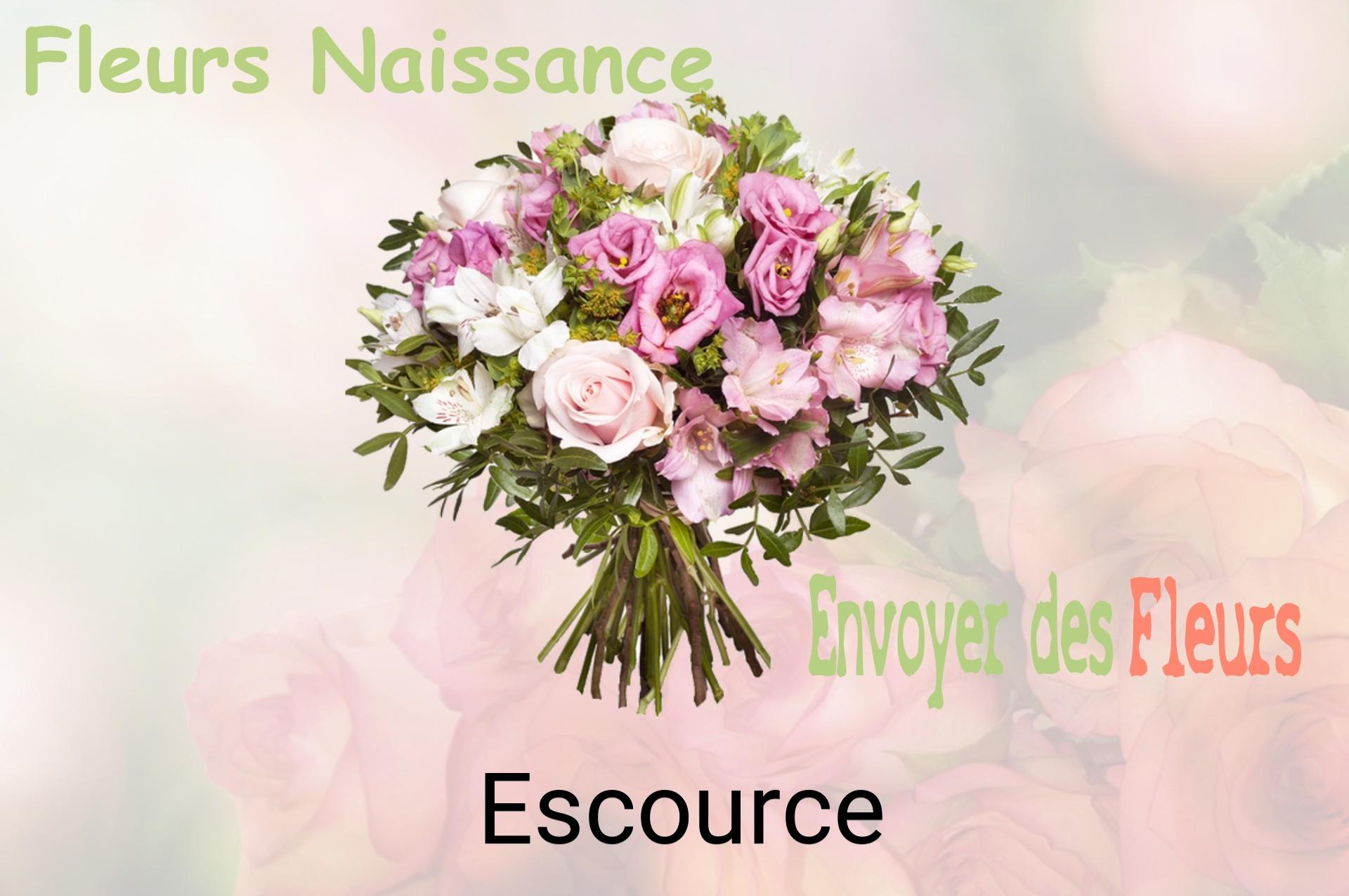 Bouquet de fleurs de naissance livré à Escource