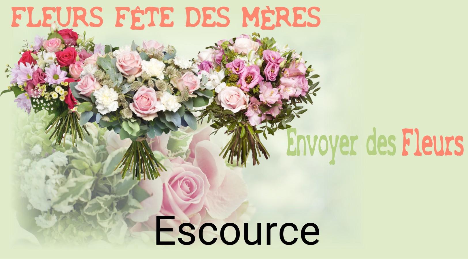 Bouquet de Fête des Mères livré à Escource