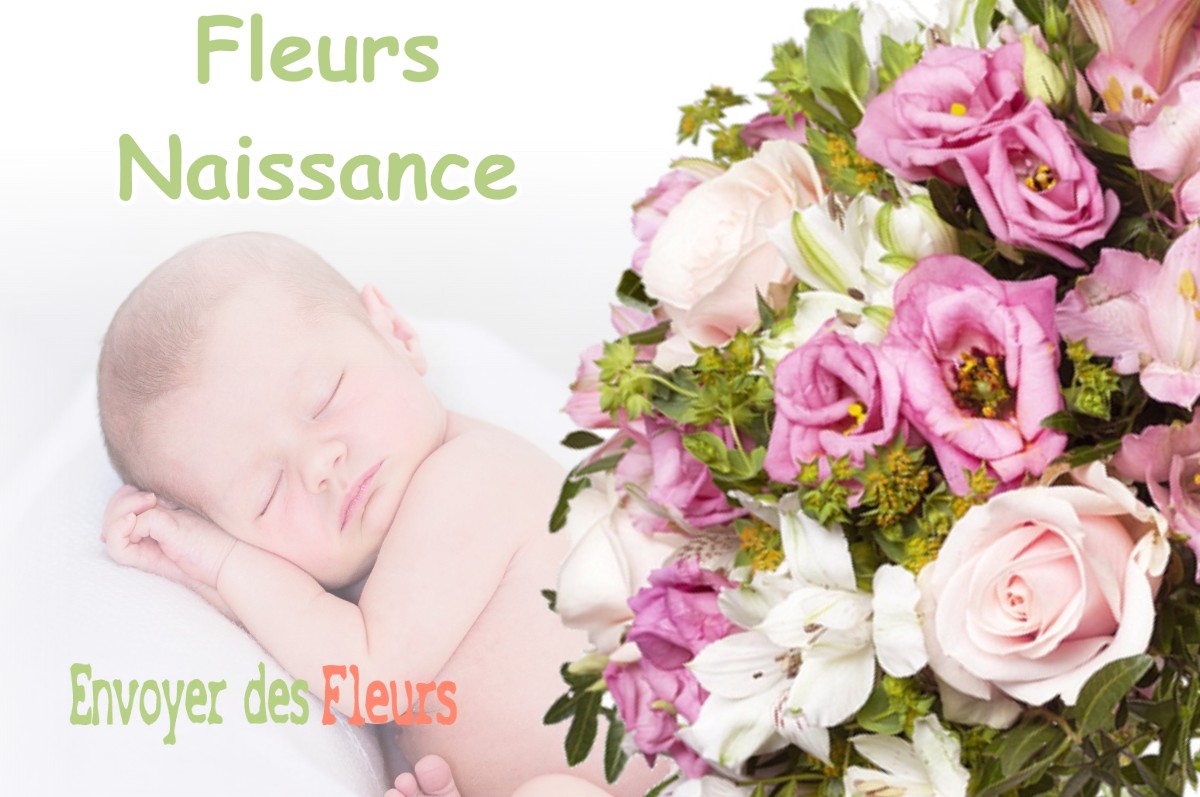 lIVRAISON FLEURS NAISSANCE à ESCOURCE